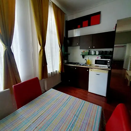 Unirii Guest Apartment