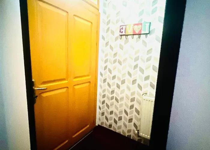 Unirii Guest Appartamento